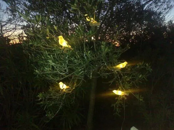 Villa Mala Punta Skala Petrčane